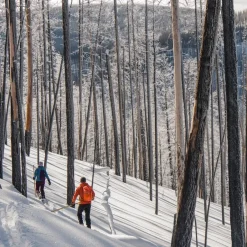 Altai Hiihtourheilu*liukulumikenkä Hok 145 cm + Pivot siteet