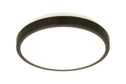 Sisustusvalaisimet*Aneta Lighting plafondi Anillo LED valkoinen