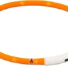 Best Friend Koirat*Gear BF Gear LED valopanta 70cm säädettävä