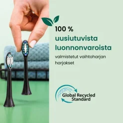 Beurer Hammashoito*vaihtoharja SC Classic Clean Sonic-sähköhammasharjaan
