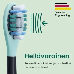 Beurer Hammashoito*vaihtoharja SC Protection Plus Sonic-sähköhammasharja