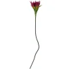 Bloomingville Koriste-Esineet*koristeoksa Lily violetti