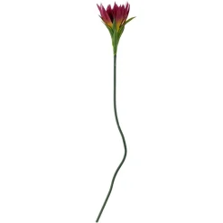 Bloomingville Koriste-Esineet*koristeoksa Lily violetti