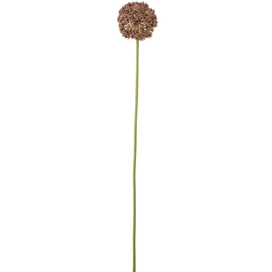 Bloomingville Koriste-Esineet*koristeoksa Allium ruskea