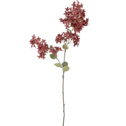 Bloomingville Koriste-Esineet*koristeoksa Myrtle viininpunainen