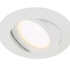 Briloner Kosteantilanvalaisimet*LED kohdistettava moduuli 5W valkoinen