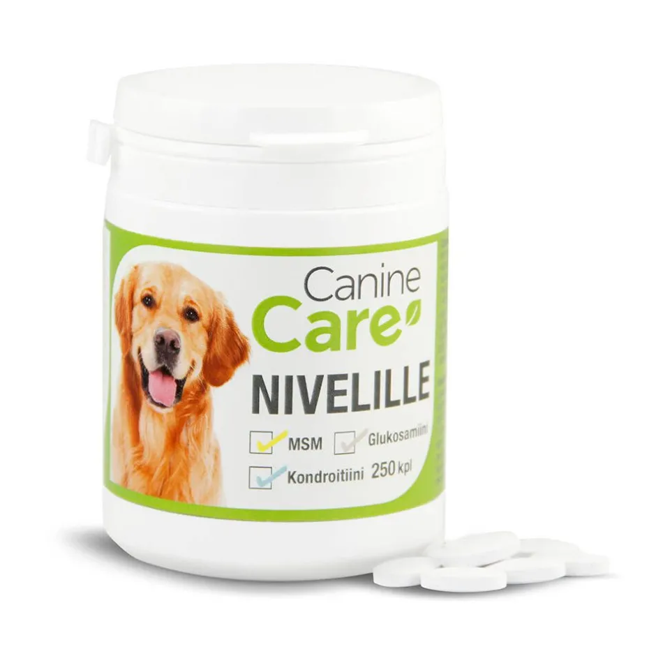 CanineCare Koirat*nivelille 250 tabl.
