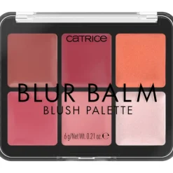 Catrice Meikit*poskipuna Blur Balm Blush Palette 010