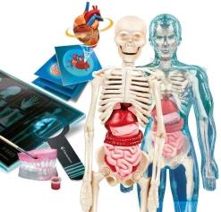 Clementoni Robotti- Ja Toiminnalliset Lelut*tiedesetti Anatomia Super