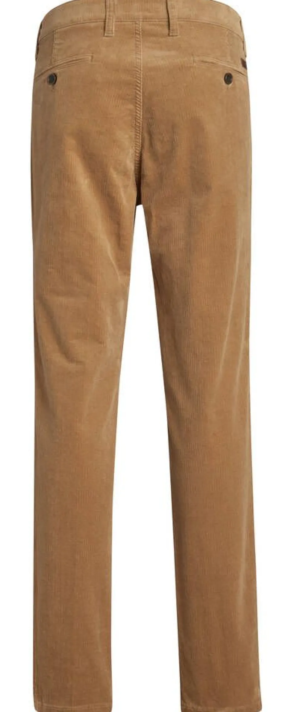 Club of Comfort Housut*samettihousut Garvey 7200 33 beige
