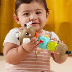 Fisher-Price Vauva- Ja Taaperolelut*Click & Spin Activity Pup