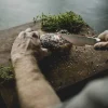 Fiskars Veitset Ja Leikkuulaudat*Norden Paistiveitsi