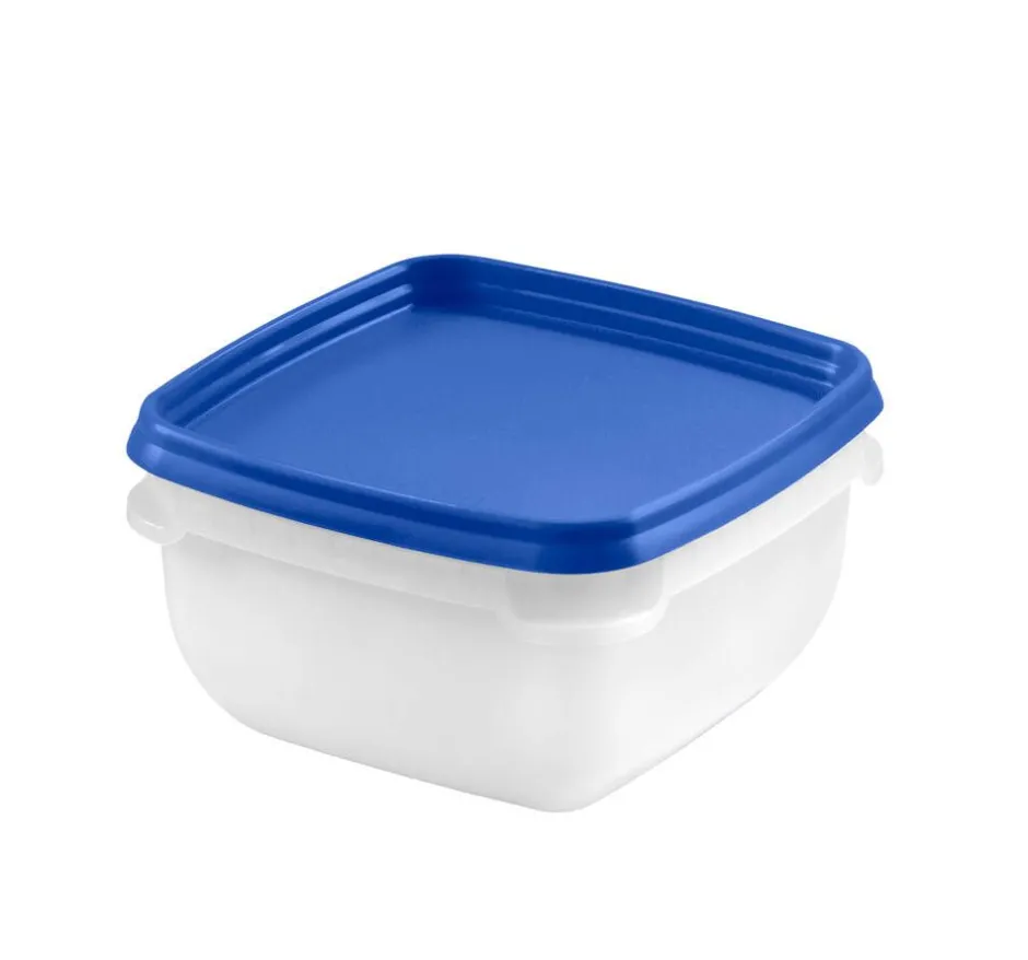 Gastromax Ruoansäilytys Ja Järjestys*pakastusrasia 5 x 0,5 L eri värejä