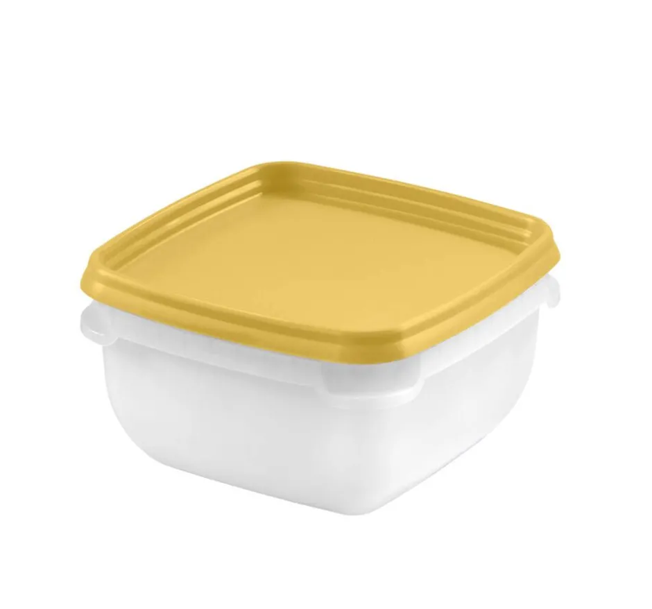 Gastromax Ruoansäilytys Ja Järjestys*pakastusrasia 5 x 0,5 L eri värejä