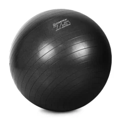 Gymstick Fitnessvälineet*jumppapallo Pro 75 cm