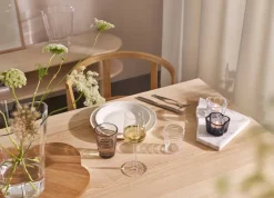 Iittala Astiat*Aino Aalto Juomalasi 22 cl pellava 2 kpl