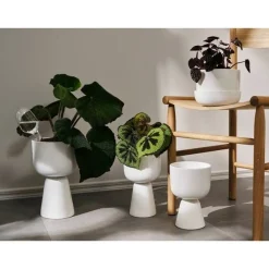 Iittala Maljakot Ja Ruukut*Kastelupullo 2 kpl