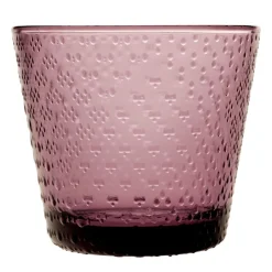 Iittala Astiat*Tundra juomalasi 29 cl kanerva