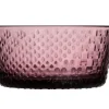 Iittala Astiat*Tundra kulho 25 cl kanerva