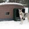 Ju00e4mpti Koirat*Jämpti tunneli sinkitty