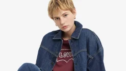 Levi's Trikoopaidat Ja Colleget*t-paita Graphic Boxy 0021 Rope wonky burgundy