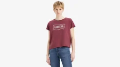 Levi's Trikoopaidat Ja Colleget*t-paita Graphic Boxy 0021 Rope wonky burgundy