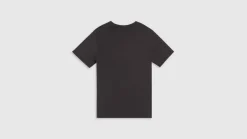 Levi's T-Paidat*t-paita Graphic Crewneck Tee 1854 Brin Music Inspired Phantom