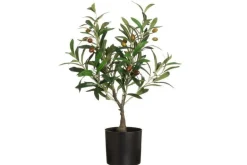 4Living Koriste-Esineet*oliivipuu ruukussa 60 cm