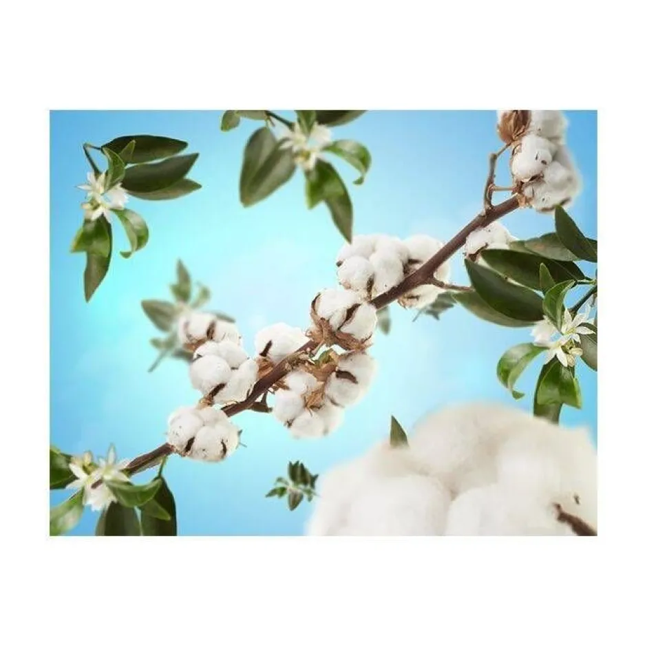Maison Berger Tuoksukynttilät Ja Huonetuoksut|Kynttilät Ja Huonetuoksut*huonetuoksu Cotton Caress 100 ml