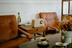 Sangean Radiot Ja Kelloradiot*radio WR-101 Bluetooth vaalea tammi