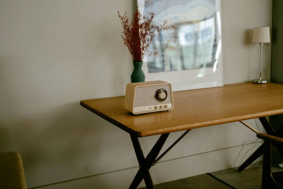 Sangean Radiot Ja Kelloradiot*radio WR-101 Bluetooth vaalea tammi