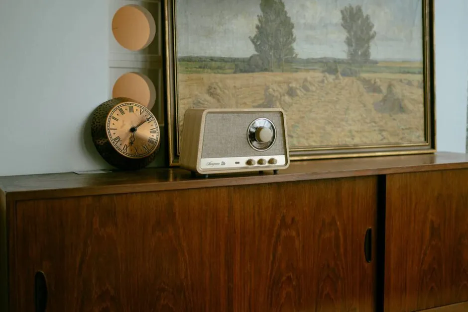Sangean Radiot Ja Kelloradiot*radio WR-101 Bluetooth vaalea tammi