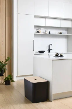 Smartstore Paperikorit Ja Roska-Astiat*Collect lajitteluastia vanerikannella 76 L musta