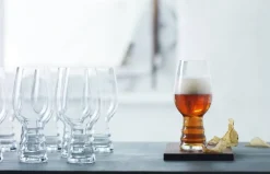 Spiegelau Astiat*Olutlasi Craft IPA 2 kpl