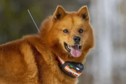 Tracker Metsästyselektroniikka*koiratutka Artemis Easy
