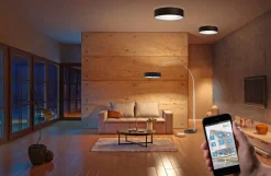 Trio Lighting Sisustusvalaisimet*kattovalaisin Hotel 50 cm 3xE27 musta