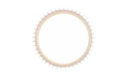 Trio Lighting Sisustusvalaisimet*kattovalaisin Monte LED 60 cm puu