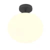 Trio Lighting Sisustusvalaisimet*kattovalaisin Fomento E27 mattamusta/valkoinen