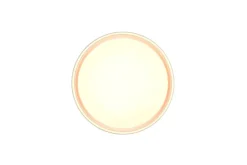 Trio Lighting Sisustusvalaisimet*LED kattovalaisin Felis 40 cm mattavalkoinen