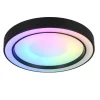 Trio Lighting Sisustusvalaisimet*LED kattovalaisin Arco 40 cm mattamusta RGBW