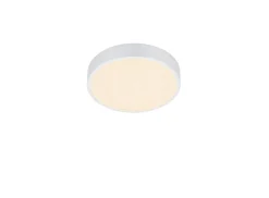 Trio Lighting Sisustusvalaisimet*LED kattovalaisin Waco 30 cm mattavalkoinen