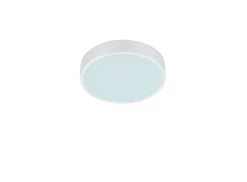 Trio Lighting Sisustusvalaisimet*LED kattovalaisin Waco 30 cm mattavalkoinen