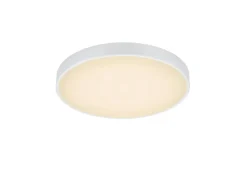Trio Lighting Sisustusvalaisimet*LED kattovalaisin Waco 49 cm mattavalkoinen