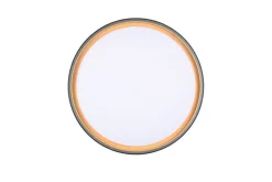 Trio Lighting Sisustusvalaisimet*LED kattovalaisin Felis 40 cm musta/kulta