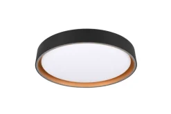 Trio Lighting Sisustusvalaisimet*LED kattovalaisin Felis 40 cm musta/kulta