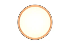 Trio Lighting Sisustusvalaisimet*LED kattovalaisin Felis 40 cm musta/kulta