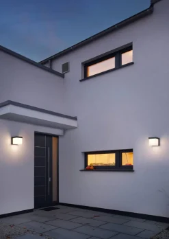 Trio Lighting Ulkovalaisimet*LED seinävalaisin Yangtze antrasiitti