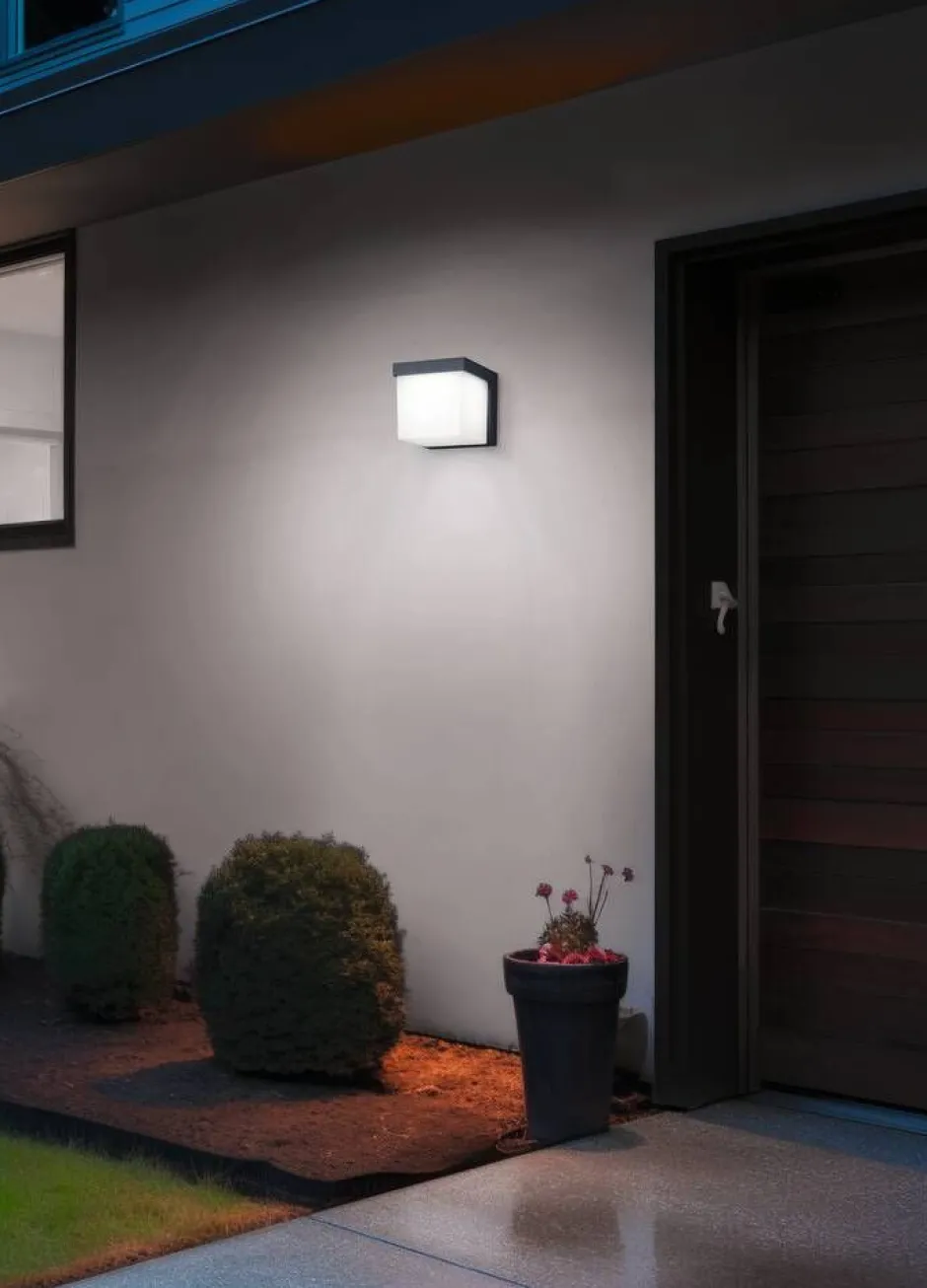 Trio Lighting Ulkovalaisimet*LED seinävalaisin Yangtze antrasiitti