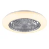 Trio Lighting Sisustusvalaisimet*LED tuuletinkattovalaisin Stralsund harmaa sta