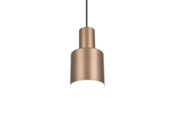 Trio Lighting Sisustusvalaisimet*riippuvalaisin Agudo 1-os E27 kahvinruskea